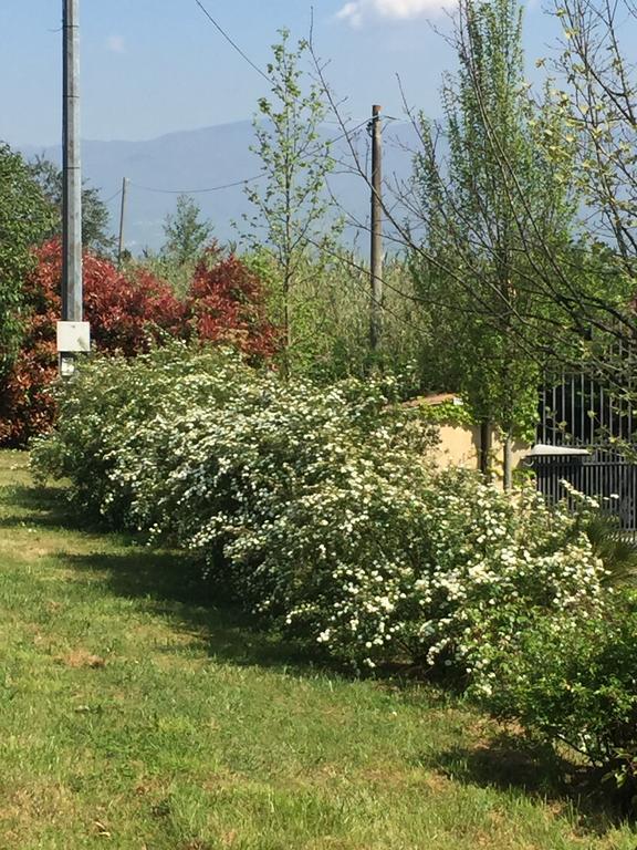 Lago Gabbiano Podere Casanova 皮斯托亚 外观 照片