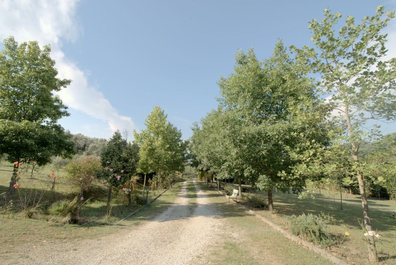 Lago Gabbiano Podere Casanova 皮斯托亚 外观 照片